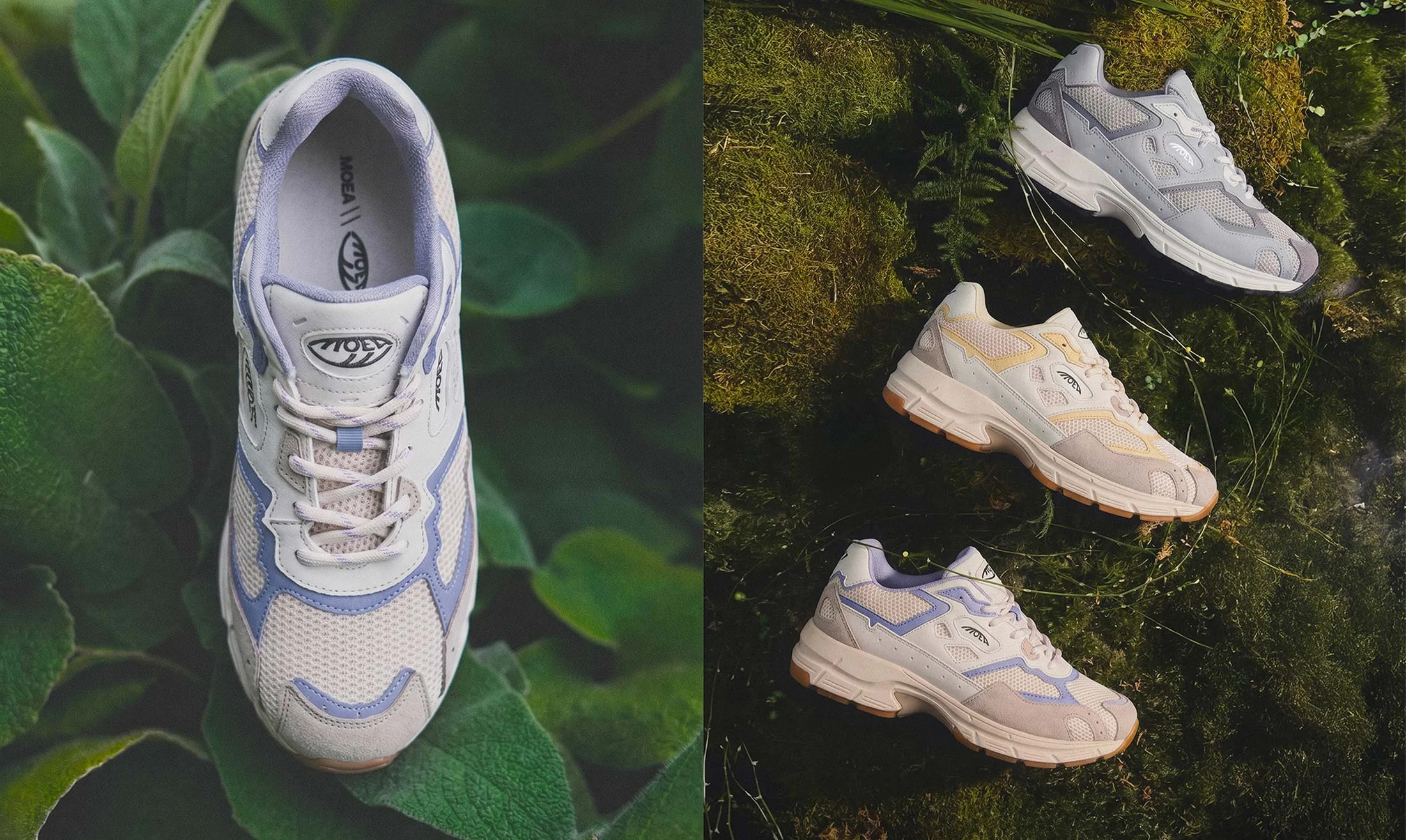 Step Into the Future Sustainably